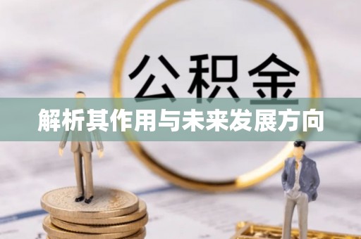 黄埔解析其作用与未来发展方向