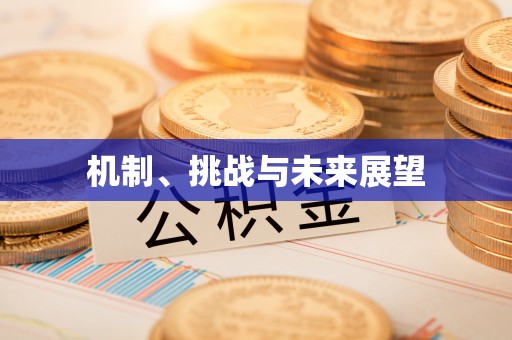 黄埔机制、挑战与未来展望